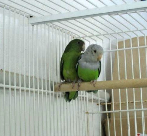 Foto 3